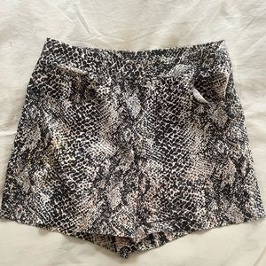 Tamara Mellon high waisted snake skin printed shorts